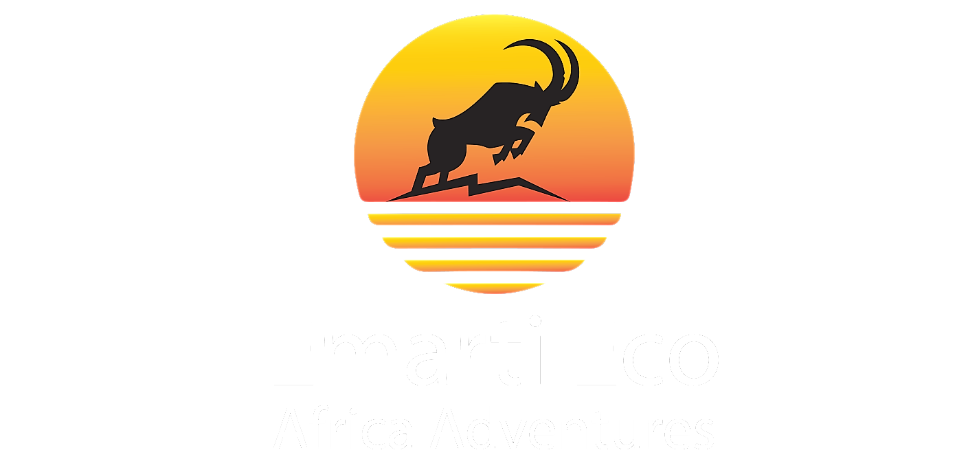 Emartico Africa Adventures Logo